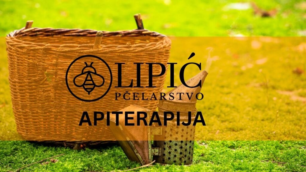  5 STVARI KOJE TREBA ZNATI O APITERAPIJI