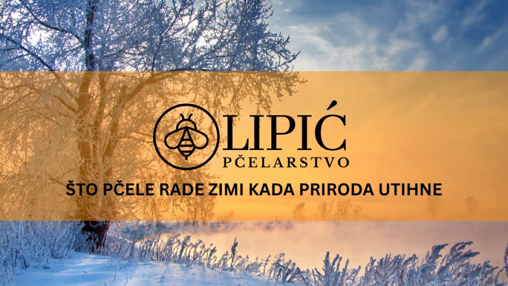 Što pčele rade zimi kad priroda utihne?