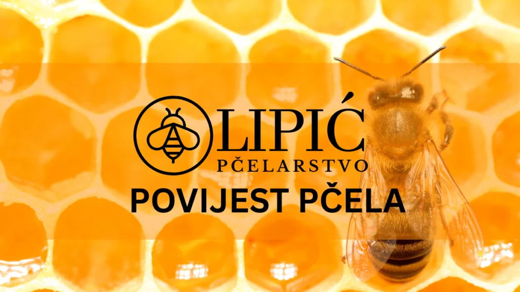 MALO O POVIJESTI PČELA