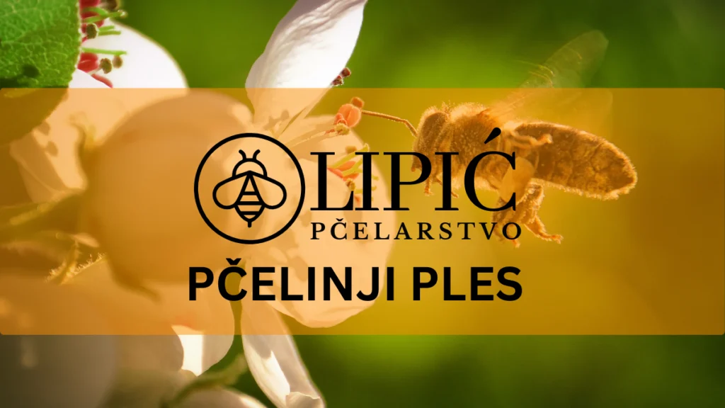 PČELINJI PLES